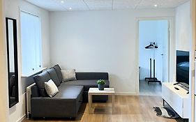 Lovely Billund Apartment By Kirija